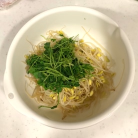無限に食べられる もやしと豆苗のツナ和え レシピ 作り方 By さくらりこ 楽天レシピ 無限に食べられる もやしと豆苗のツナ和え レシピ 作り方 By さくらりこ 楽天レシピ